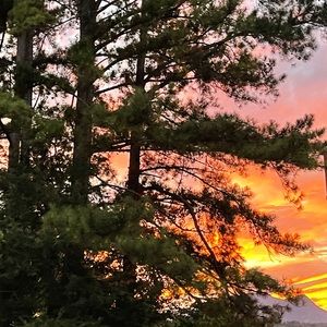 Meet your Posher, Lisset